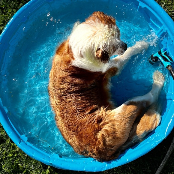 Meet your Posher, Alex - Picture 14 of 16